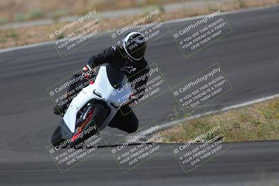 media/May-09-2022-Moto Forza (Mon) [[0226cf3505]]/Group B/B 1020am/